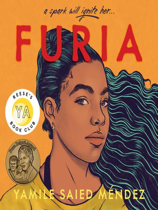 Cover image for Furia